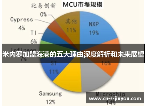 米内罗加盟海港的五大理由深度解析和未来展望