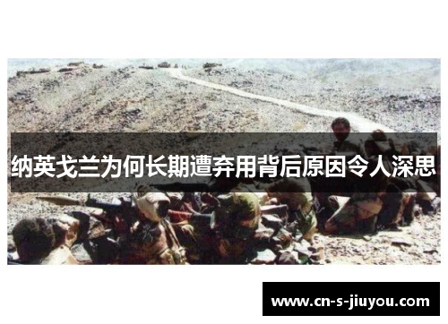 纳英戈兰为何长期遭弃用背后原因令人深思