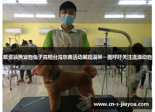 戴资颖携宠物兔子亮相台湾慈善活动展现温馨一面呼吁关注流浪动物 戴资颖携宠物兔子亮相台湾慈善活动展现温馨一面呼吁关注流浪动物