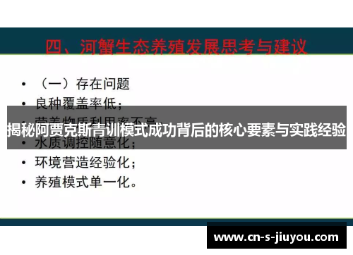 揭秘阿贾克斯青训模式成功背后的核心要素与实践经验 揭秘阿贾克斯青训模式成功背后的核心要素与实践经验