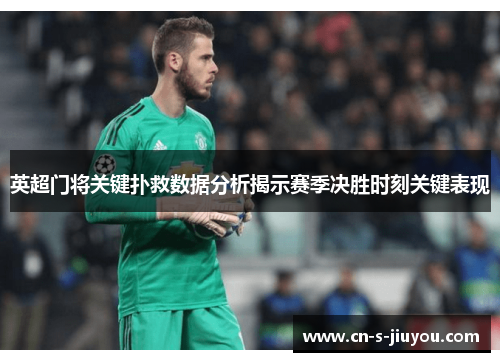 英超门将关键扑救数据分析揭示赛季决胜时刻关键表现